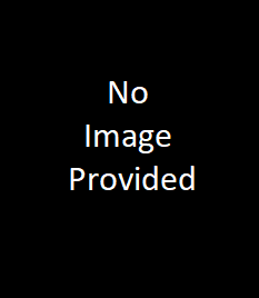 File:No-image-provided.png